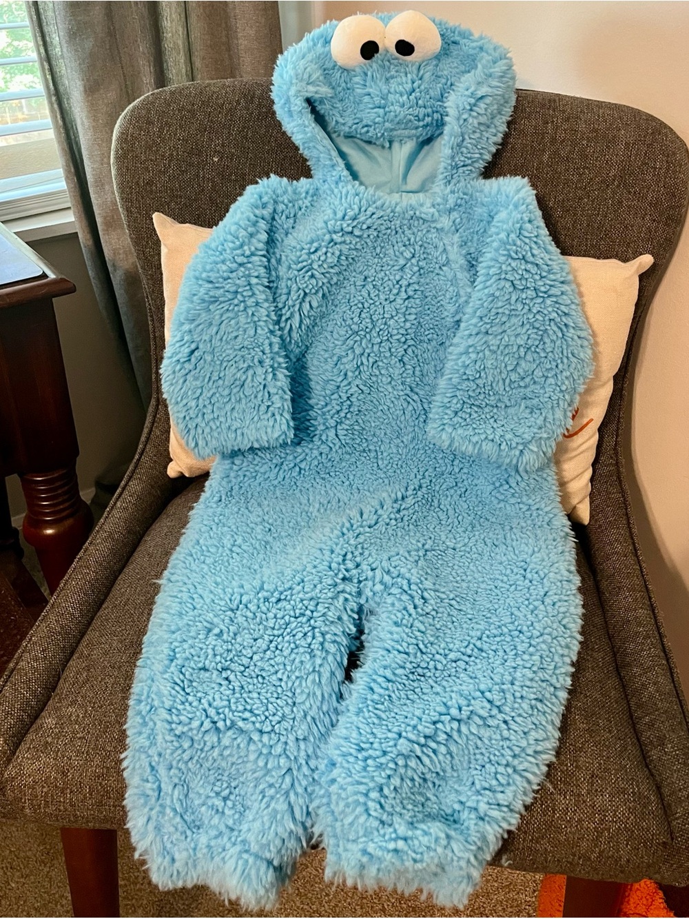 Sesame Street Blue Plush Cookie Monster Costume